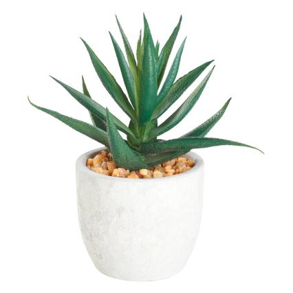 Eglo - Plante artificielle dans un pot de fleurs 15,5x10 cm succulent
