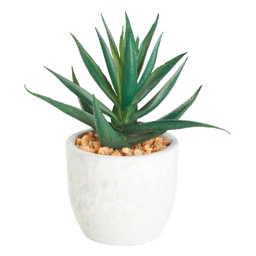 Eglo - Plante artificielle dans un pot de fleurs 15,5x10 cm succulent