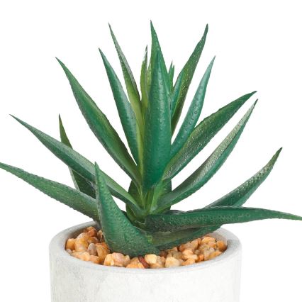 Eglo - Plante artificielle dans un pot de fleurs 15,5x10 cm succulent