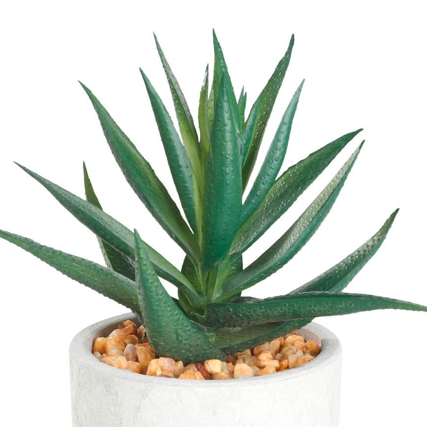 Eglo - Plante artificielle dans un pot de fleurs 15,5x10 cm succulent