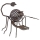 EGLO 47537 - Eclairage solaire scorpion 1xLED/0,06W bronze