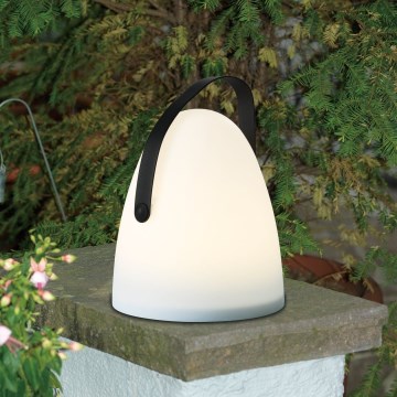 Eglo 48841 - Lampe de table extérieur COLLIRADOS LED/3xAA IP44