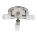 Eglo 55428 - Spot LED 3xE14/4W/230V Ø 21 cm chrome mat