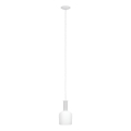 Eglo 62265 - Suspension filaire PASCOA PRO 1xE27/60W/230V 15,6 cm blanc