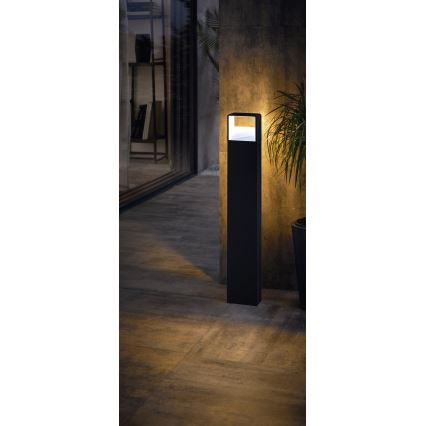 Eglo 65082 - Lampe extérieure DONINNI PRO LED/5W/230V 3000K 40 cm IP44 anthracite