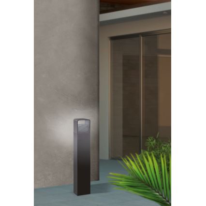 Eglo 65082 - Lampe extérieure DONINNI PRO LED/5W/230V 3000K 40 cm IP44 anthracite