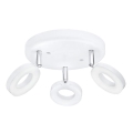 Eglo 75203 - Spot LED ODERZO 3xLED/3,8W/230V