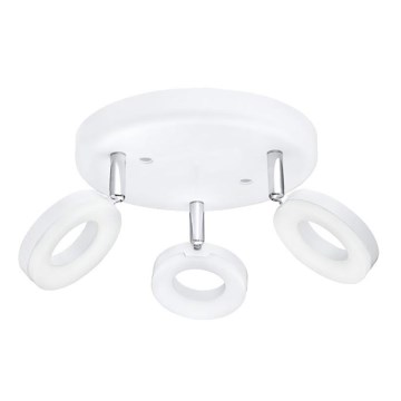 Eglo 75203 - Spot LED ODERZO 3xLED/3,8W/230V