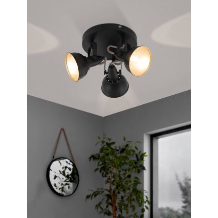 Eglo 75514 - Spot THORNTON 3xE14/28W/230V noir/doré