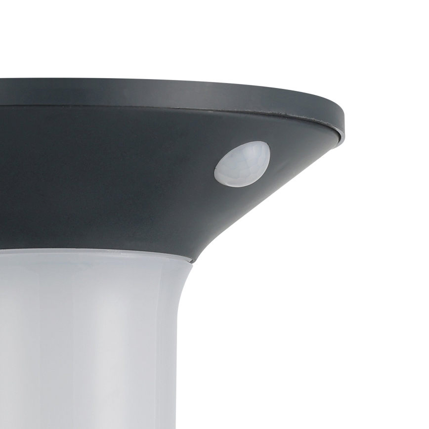 Eglo - Luminaire solaire d'extérieur LED avec détecteur 6xLED/0,03W/3,7V IP44