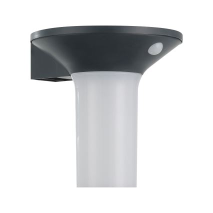 Eglo - Luminaire solaire LED d'extérieur avec détecteur 6xLED/0,03W/3,7V IP44