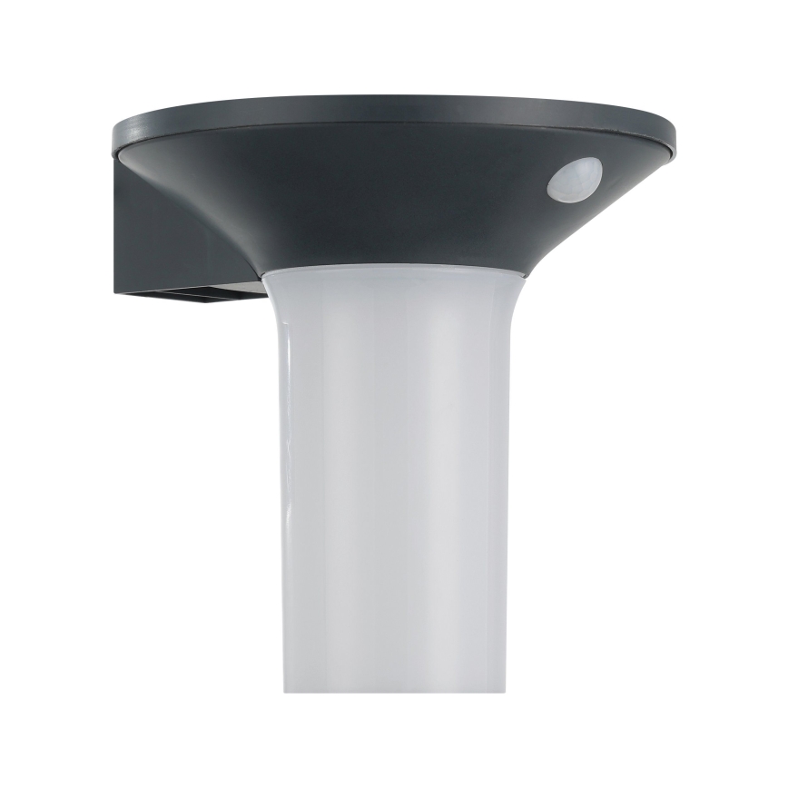 Eglo - Luminaire solaire LED d'extérieur avec détecteur 6xLED/0,03W/3,7V IP44