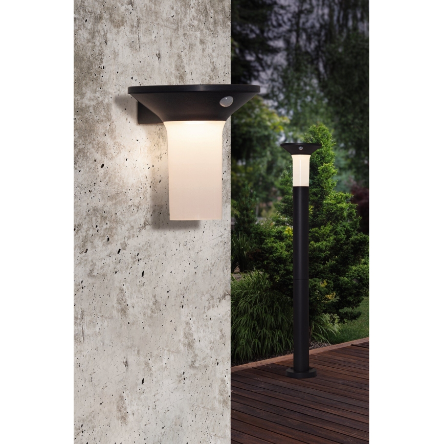Eglo - Luminaire solaire LED d'extérieur avec détecteur 6xLED/0,03W/3,7V IP44