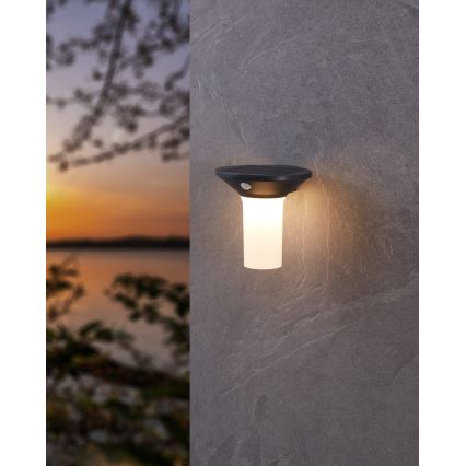 Eglo - Luminaire solaire LED d'extérieur avec détecteur 6xLED/0,03W/3,7V IP44