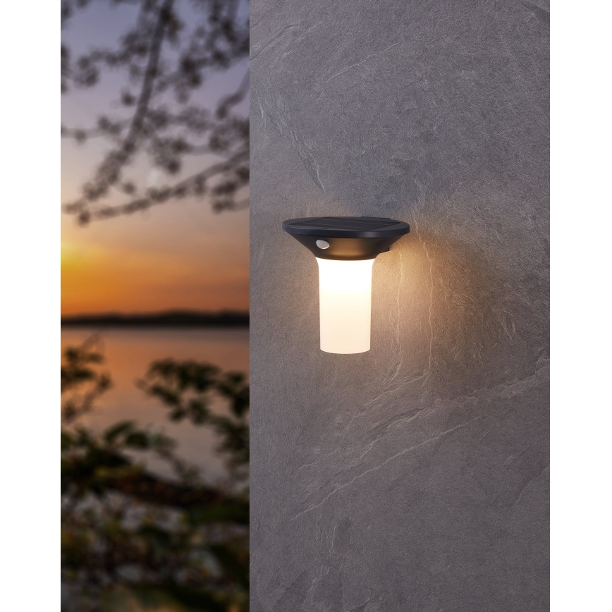 Eglo - Luminaire solaire LED d'extérieur avec détecteur 6xLED/0,03W/3,7V IP44