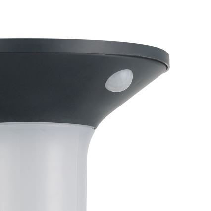Eglo - Luminaire solaire LED d'extérieur avec détecteur 6xLED/0,03W/3,7V IP44