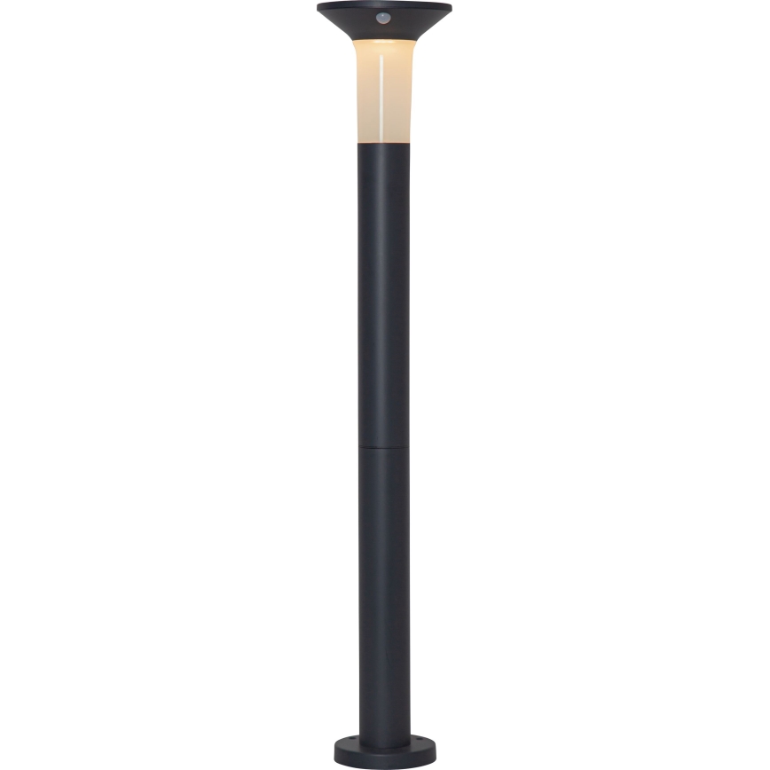 Eglo - Lampe solaire LED d'extérieur avec capteur 6xLED/0,03W/3,7V 1500 mAh IP44