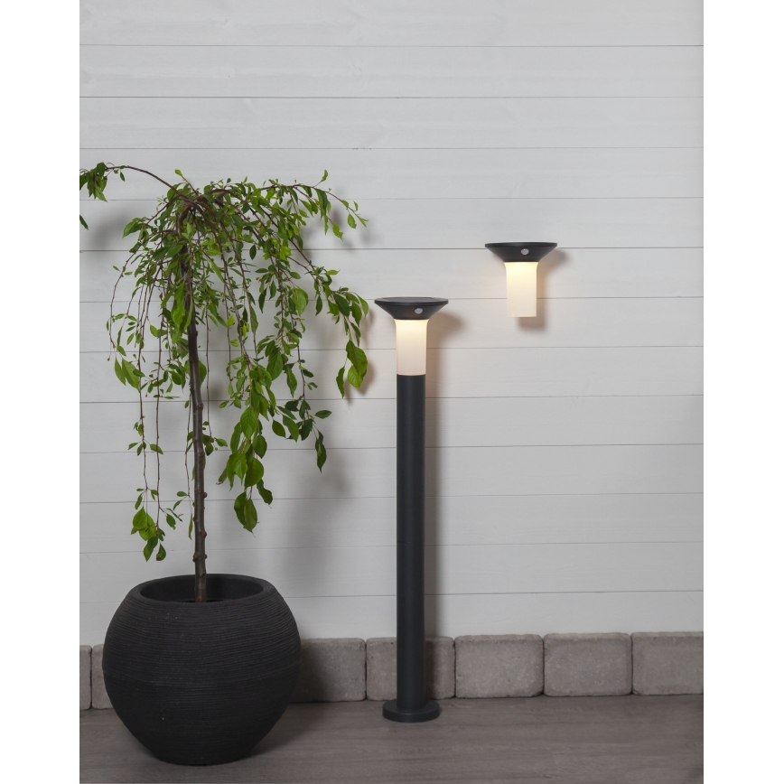 Eglo - Lampe solaire extérieure avec détecteur 6xLED/0,03W/3,7V 1500 mAh IP44