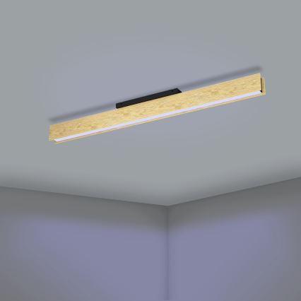 Eglo - Plafonier RGBW à intensité variable LED/35W/230V 2700-6500K