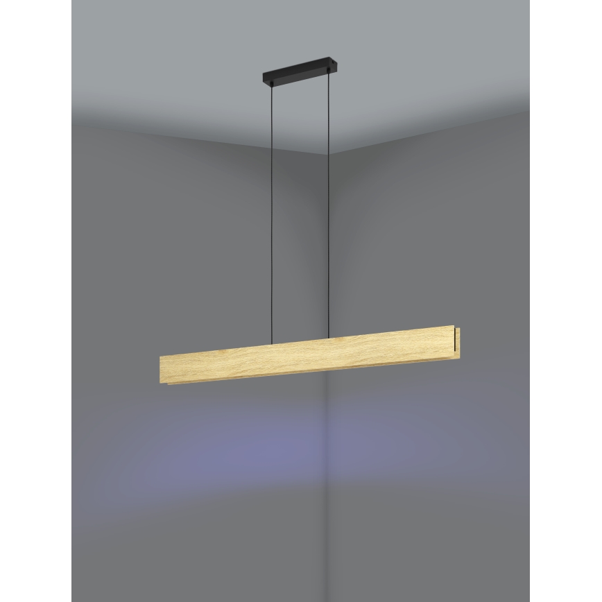 Eglo - Suspension filaire RGBW à intensité variable LED/35W/230V 2700-6500K