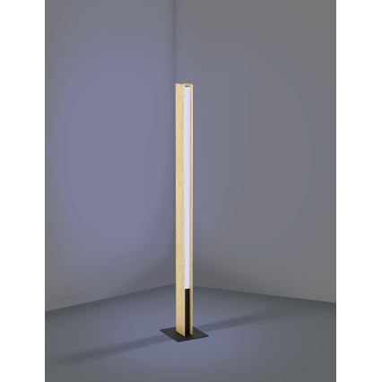 Eglo - Lampadaire RGBW à intensité variable LED/35W/230V 2700-6500K