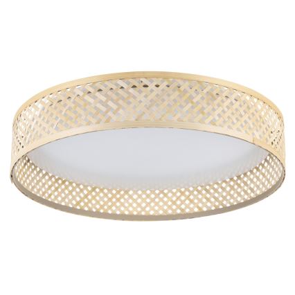Eglo - Plafonnier LED/24W/230V