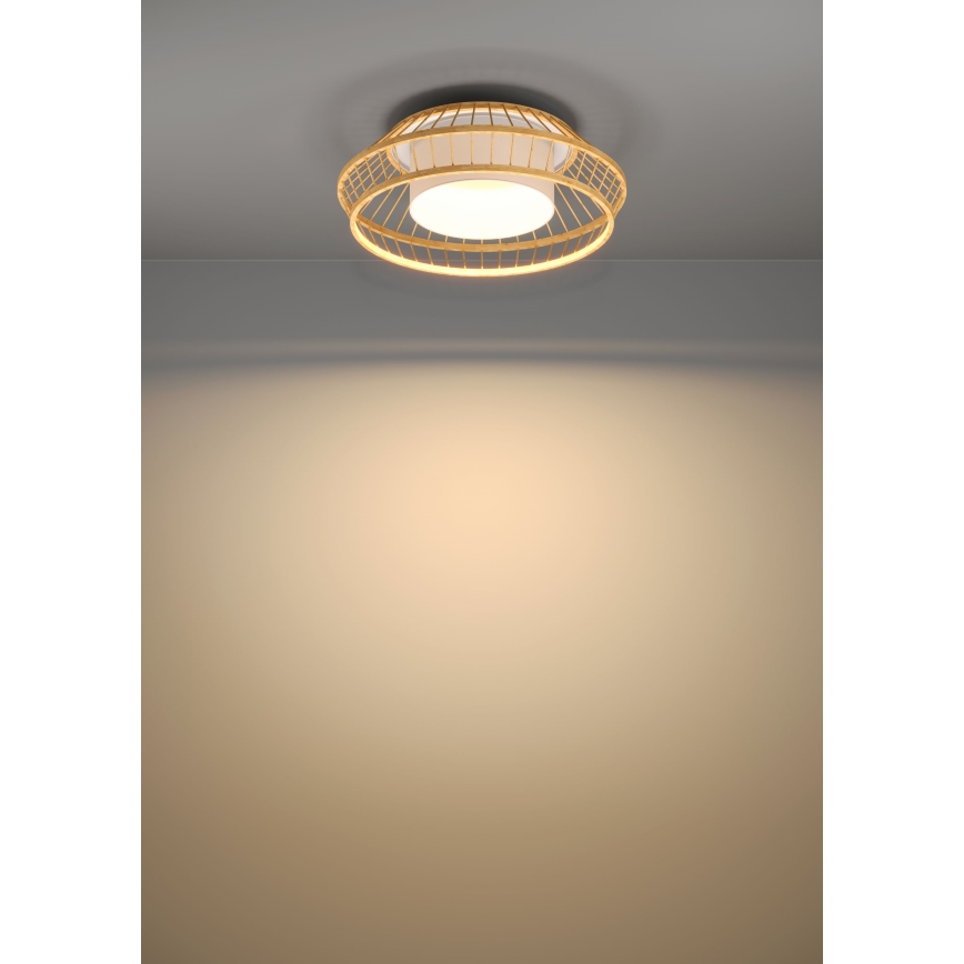 Eglo - Plafonier RGBW à intensité variable LED/22W/230V 2700-6500K