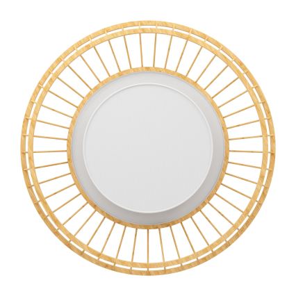 Eglo - Plafonier RGBW à intensité variable LED/22W/230V 2700-6500K