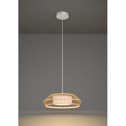 Eglo - Suspension filaire RGBW à intensité variable LED/22W/230V 2700-6500K