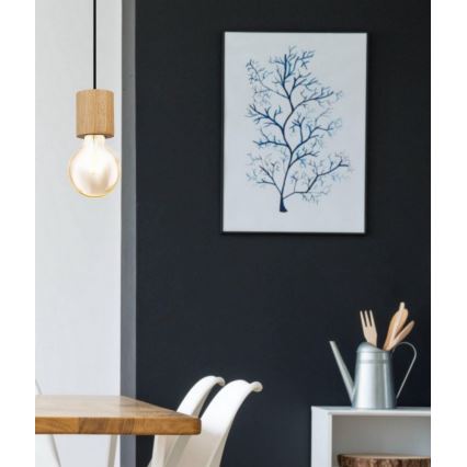 Eglo - Suspension sur câble 1xE27/28W/230V