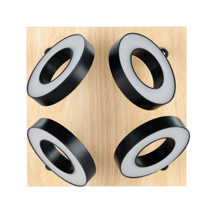 Eglo - Spot LED 4xLED/4,2W/230V noir/marron