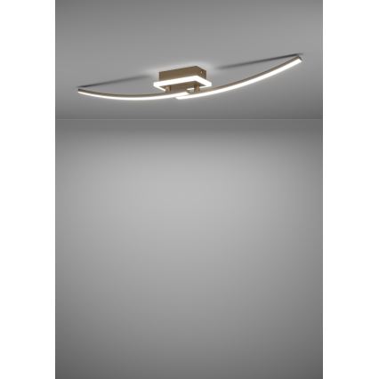 Eglo - Plafonnier LED/12W/230V 4000K cuivre