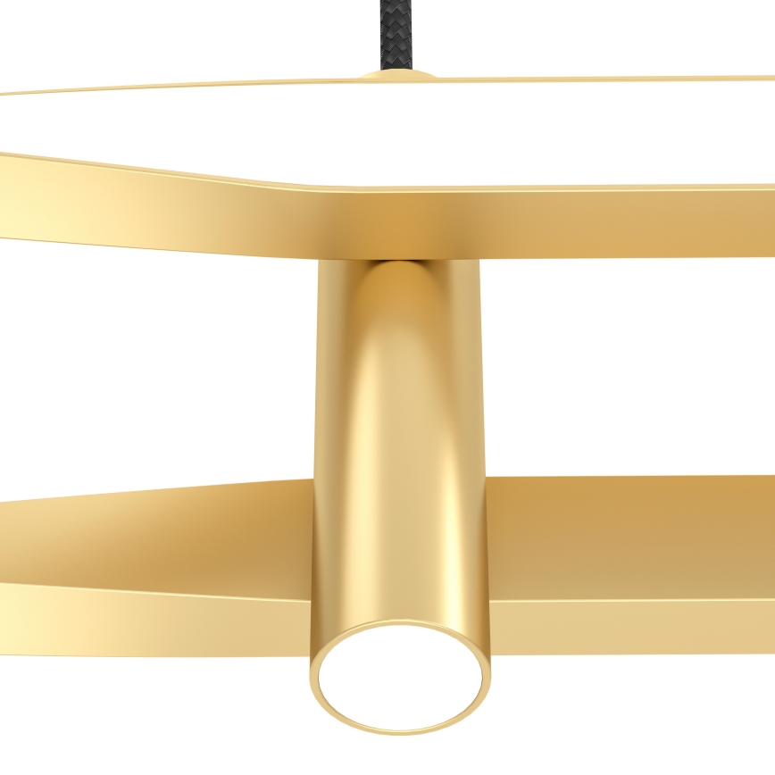 Eglo - Suspension LED sur câble LED/21W/230V dorée