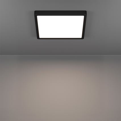 Eglo - Plafonnier LED RGBW dimmable pour salle de bains LED/13,5W/230V 2700-6500K 29,5x29,5 cm IP44 noir