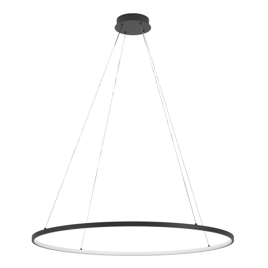 Eglo - Suspension filaire à intensité variable LED/40W/230V 2700-6500K noir + télécommande