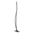 Eglo 901803 - Lampadaire LED GRISOLIA LED/20W/230V noir