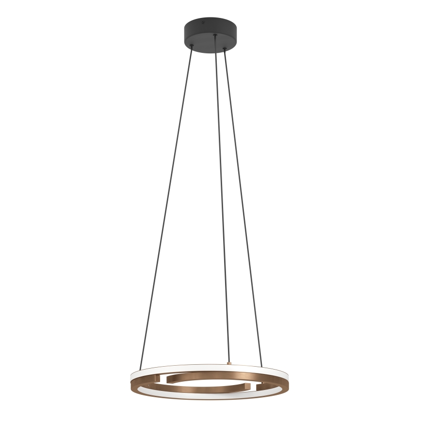 Eglo - Suspension LED dimmable sur câble 2xLED/20W/230V 2700-6500K Ø 48 cm bronze + télécommande