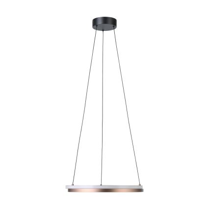 Eglo - Suspension LED dimmable sur câble 2xLED/20W/230V 2700-6500K Ø 48 cm bronze + télécommande