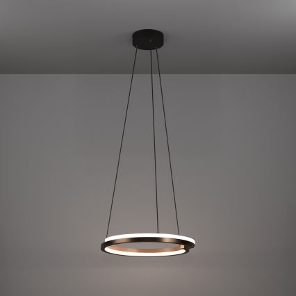 Eglo - Suspension LED dimmable sur câble 2xLED/20W/230V 2700-6500K Ø 48 cm bronze + télécommande