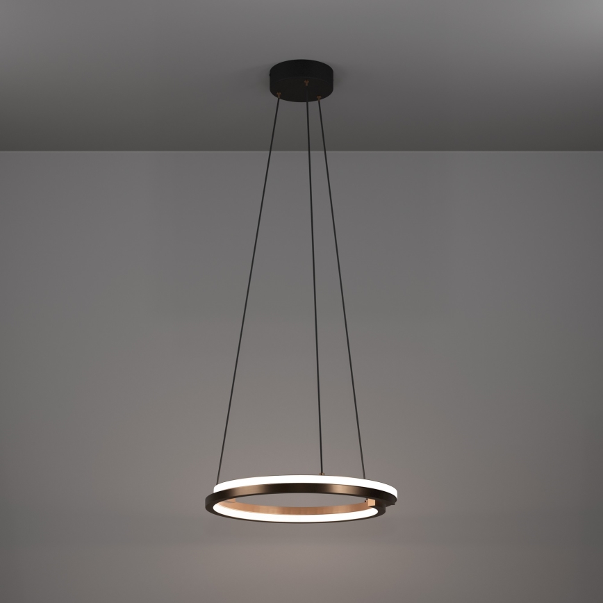 Eglo - Suspension LED dimmable sur câble 2xLED/20W/230V 2700-6500K Ø 48 cm bronze + télécommande
