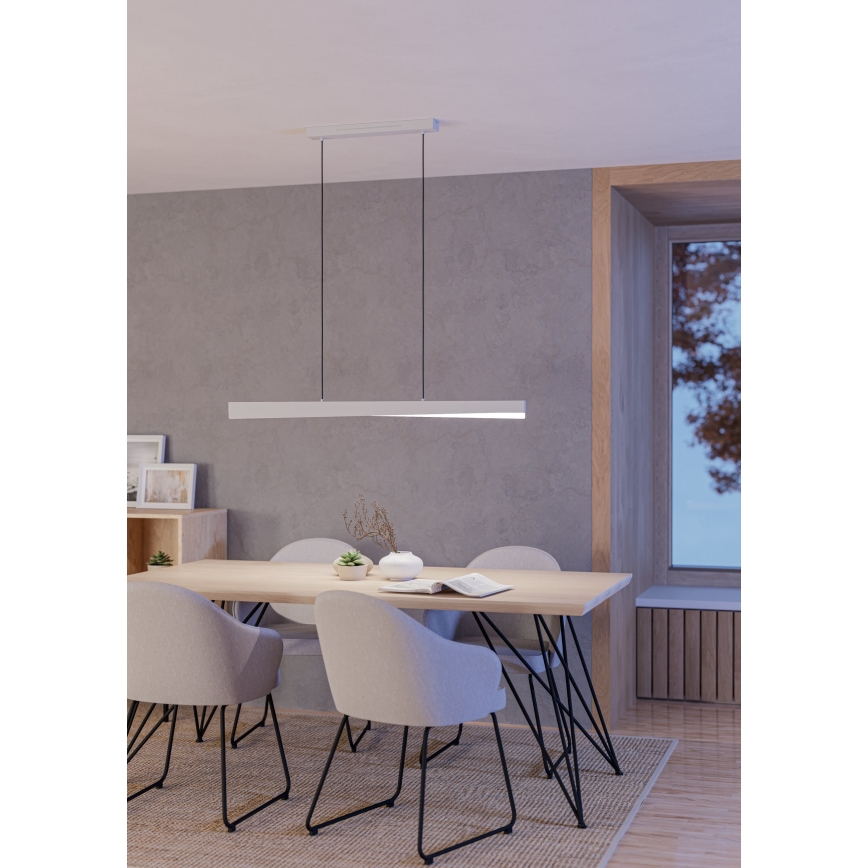 Eglo - Suspension LED RGBW dimmable sur câble LED/19W/230V 2700-6500K gris
