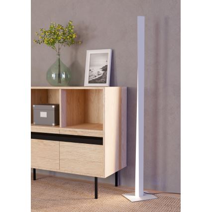 Eglo - Lampadaire dimmable LED RGBW, LED/10,5W/230V + LED/15,2W, gris