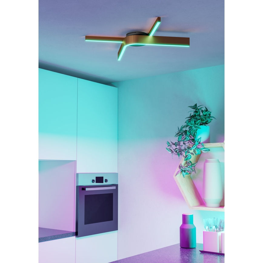 Eglo - Plafonnier LED RGBW dimmable 2xLED/18W/230V 2700-6500K cuivré/noir