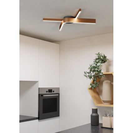 Eglo - Plafonnier LED RGBW dimmable 2xLED/18W/230V 2700-6500K cuivré/noir