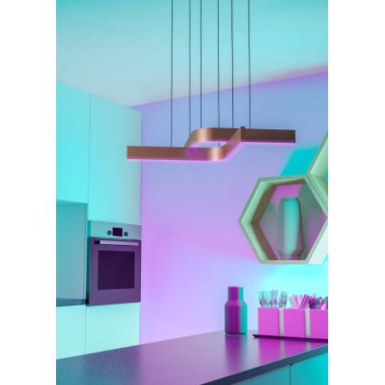 Eglo - Suspension LED RGBW dimmable sur câble 2xLED/18W/230V cuivré/noir