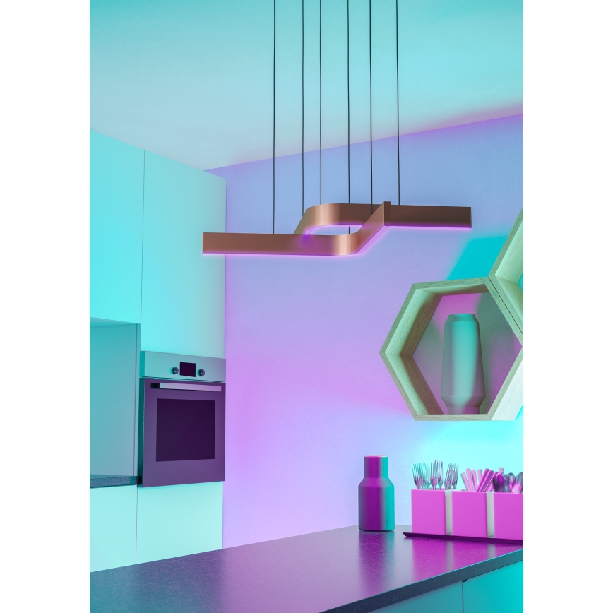 Eglo - Suspension LED RGBW dimmable sur câble 2xLED/18W/230V cuivré/noir