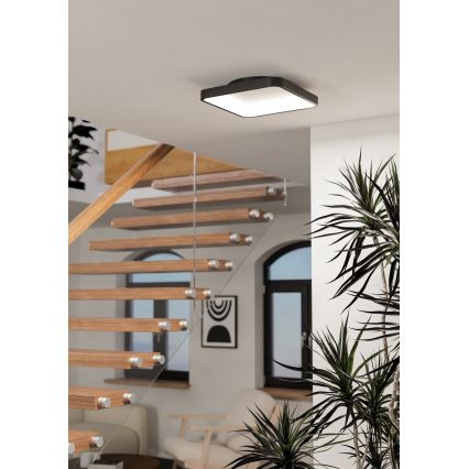 Eglo - Plafonnier LED RGBW dimmable LED/20W/230V 2700-6500K 35x35 cm noir