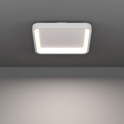 Eglo - Plafonnier LED RGBW dimmable LED/20W/230V 2700-6500K 35x35 cm blanc