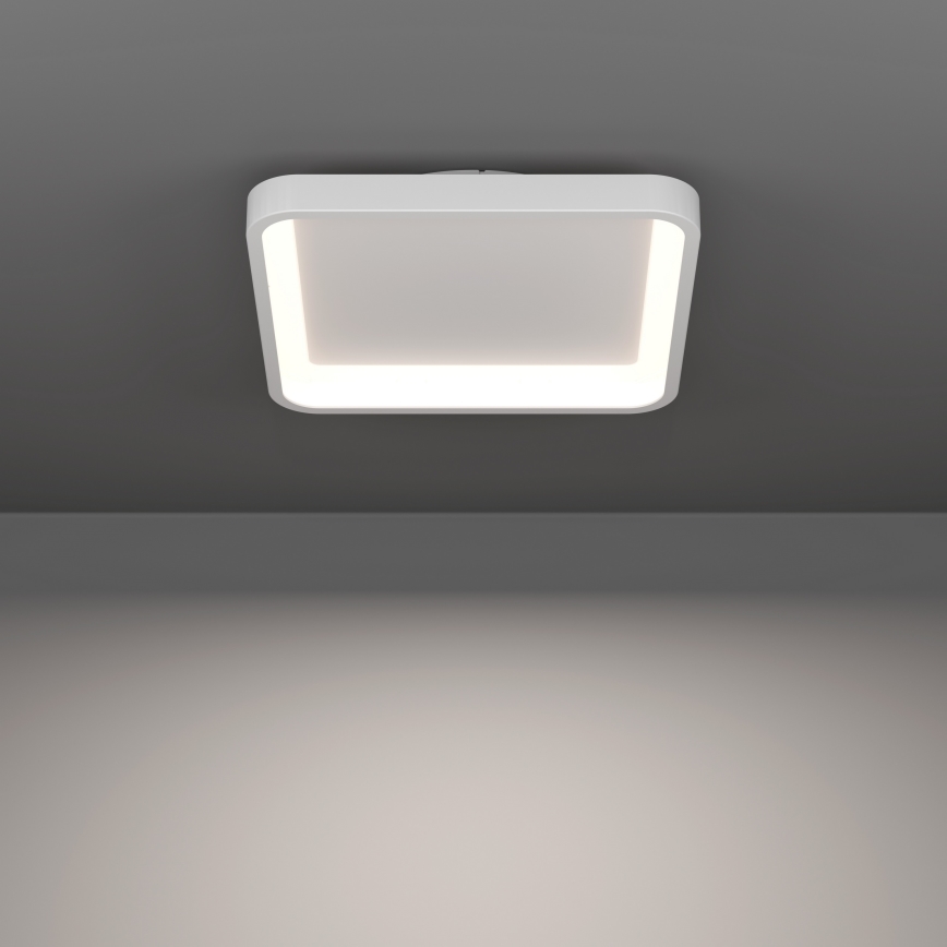 Eglo - Plafonnier LED RGBW dimmable LED/20W/230V 2700-6500K 35x35 cm blanc