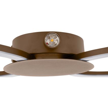 Eglo - LED Applique murale LED/20W/230V + LED/0,91W beige